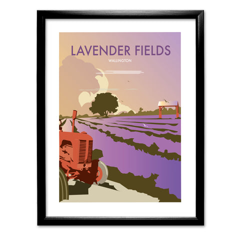 Lavender Fields Art Print