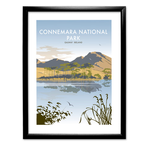 Connemara National Park, Galway Ireland Art Print