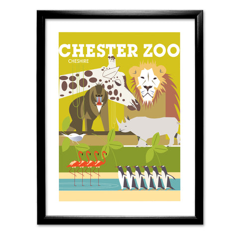 Chester Zoo, Cheshire Art Print