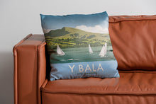 Load image into Gallery viewer, Y Bala Cushion
