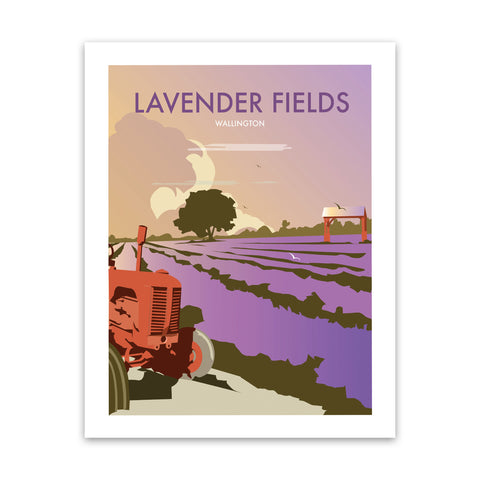 Lavender Fields Art Print