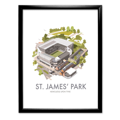 St. James Park, Newcastle Upon Tyne - Fine Art Print
