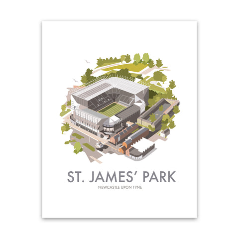St. James Park, Newcastle Upon Tyne - Fine Art Print