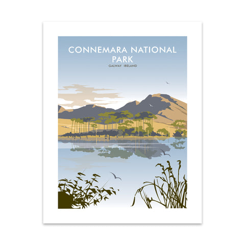 Connemara National Park, Galway Ireland Art Print