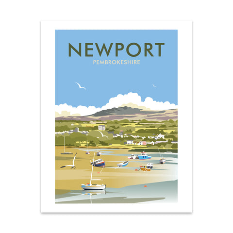 Newport, Pembrokeshire Art Print