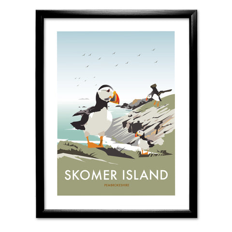 Skomer Island, Pembrokeshire Art Print