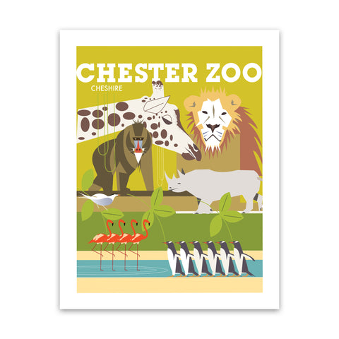 Chester Zoo, Cheshire Art Print